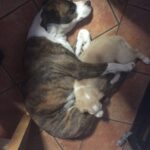 BUSCAMOS A YULI